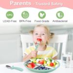 Bella’s Friends Baby Feeding Set, 2 Pack Stainless Steel Divided Plate with Silicone Suction, 2 Set Spoons and Forks, BPA Free, Dishwasher Safe, Baby Led Weaning Supplies